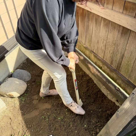 「じゃあなシロアリくん」　　実験開始です！！ 画像