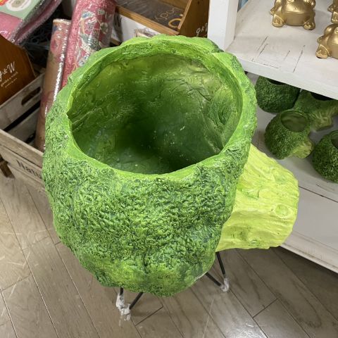 春を愛でる午後。植物園の香りと、神社の幸運。 アイキャッチ画像