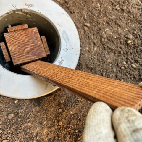 「じゃあなシロアリくん」　　実験開始です！！     から　 1か月たちました・・・その後は！！ アイキャッチ画像