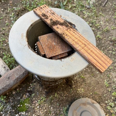 「じゃーなシロアリくん」実験開始です！！の進捗です。 画像