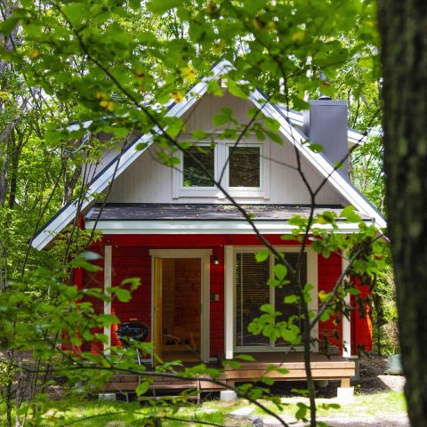 ナラ材とサクラ材を使った住宅建築の魅力と選び方 画像