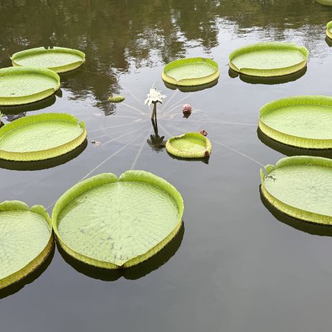 大切な家づくり🏠 画像