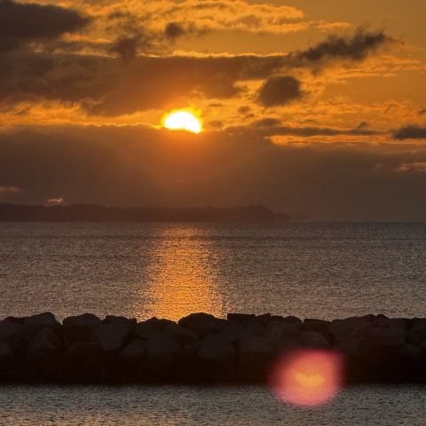 今年もよろしくお願いいたします🎍 画像